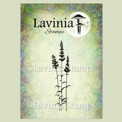Lavender, LAV093