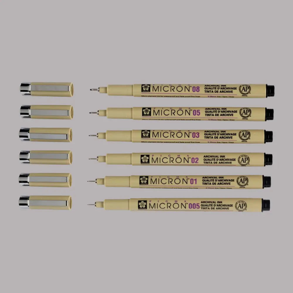 PIGMA® Micron™ Set 4+2 schwarz