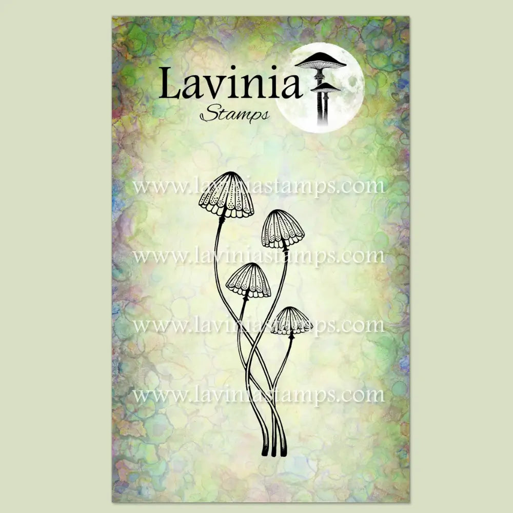 Faedew, LAV1042