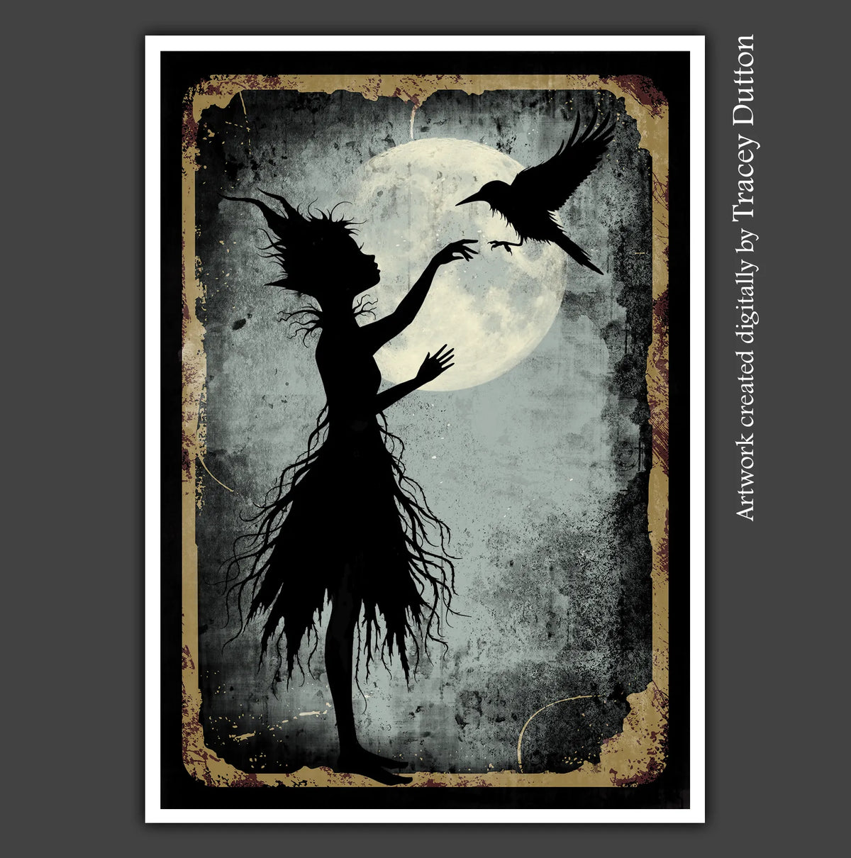 Midnight Coven Collection Bundle, LAV000