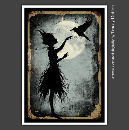 Midnight Coven Collection Bundle, LAV000